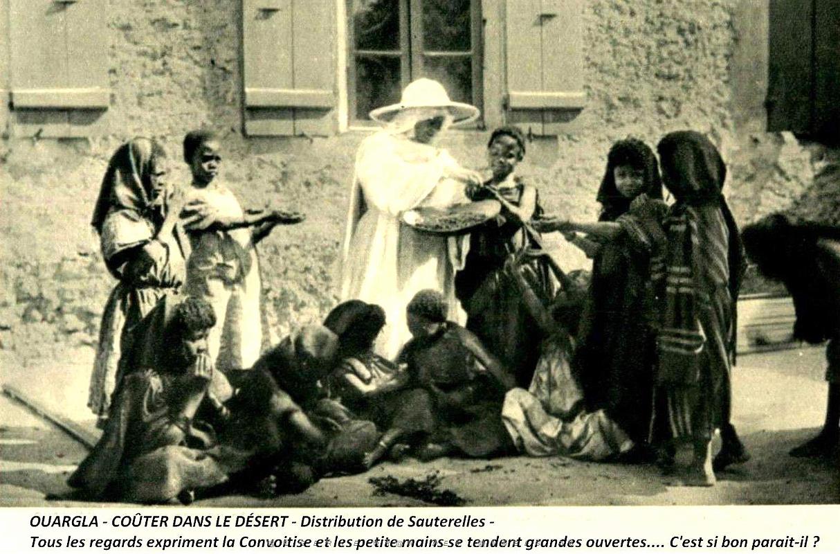 Ouargla - Gouter du Desert - Distribution de Sauterelles.jpg